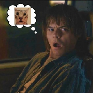 Telegram profile photo for подслушано блогов по АМРК ср