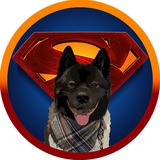 Telegram profile photo for Superman Dog $KAL