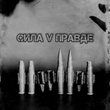 Telegram profile photo for 🇷🇺Сила V правде!🇷🇺