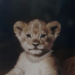 Telegram profile photo for وِصـافٌ