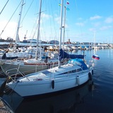 Telegram profile photo for ⛵️ Yet another sailing family ⛵️