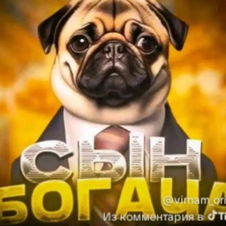 Telegram profile photo for саундклауд молодежь
