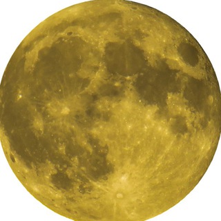 Telegram profile photo for Destination Moon Crypto Bot Signals
