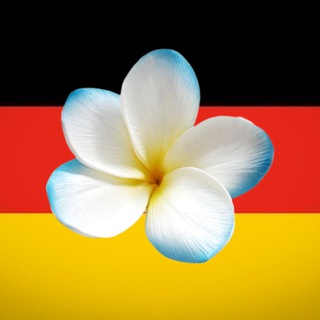 Telegram profile photo for Гессен Кельн Франкфурт на Майне Манхайм Висбаден