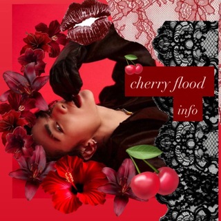 Telegram profile photo for info cherry flood 🍒