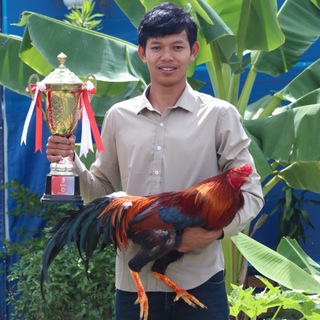 Telegram profile photo for ទ្រុងចៅនី🐓
