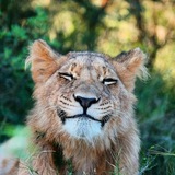 Telegram profile photo for мраморная долина