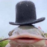 Telegram profile photo for Опечатка_