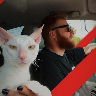 Telegram profile photo for Бим-бим воин • Чунин-сан