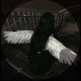 Telegram profile photo for user