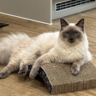 Telegram group profile photo for Дом Сильвинит