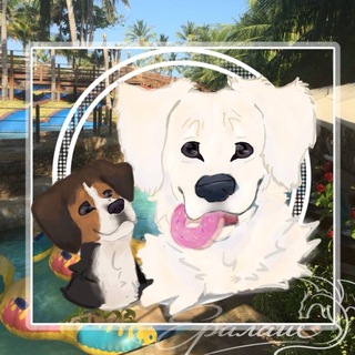 Telegram profile photo for ушастые псины