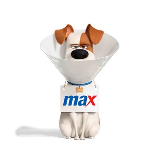 Telegram profile photo for MAX
