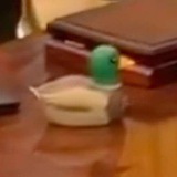 Telegram profile photo for $OvalDuck | Donalds Duck