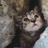 Telegram profile photo for مُستَشفىٰ العِلاجِ بالإيمَان^^