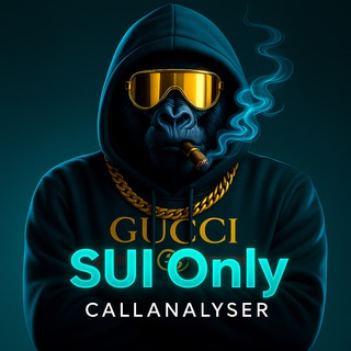 Telegram profile photo for Call Analyser (SUI only)