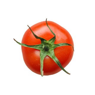 Telegram profile photo for You & Co. Seasonal Fare!