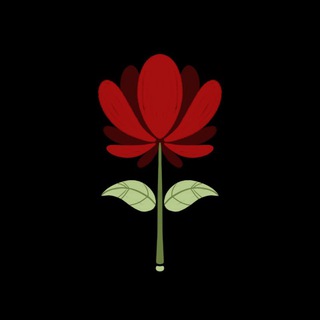 Telegram profile photo for Опаньки! АРХИВ