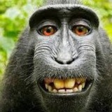 Telegram profile photo for اا