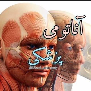 Telegram profile photo for آناتومی پزشکی
