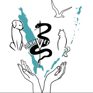 Telegram profile photo for САХВЕТ