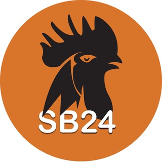 Telegram profile photo for SB24_Officialπ°π