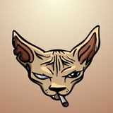 Telegram profile photo for Elon Cat - $SCHRODINGER PORTAL
