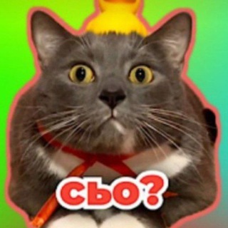 Telegram profile photo for Игровой Kotiynet