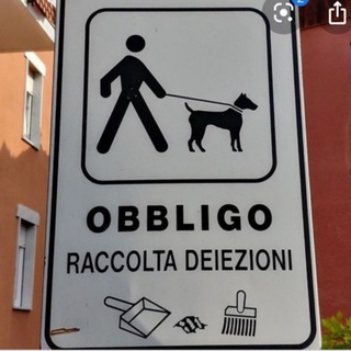 Telegram profile photo for Obbligo di: