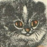 Telegram profile photo for vo1d
