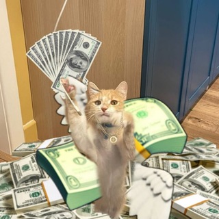 Telegram profile photo for Chester