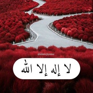 Telegram profile photo for بانگەوازی ئیسلام