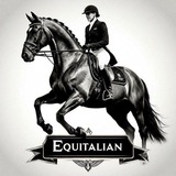 Telegram profile photo for 𝐄𝐐𝐔𝐈𝐓𝐀𝐋𝐈𝐀𝐍