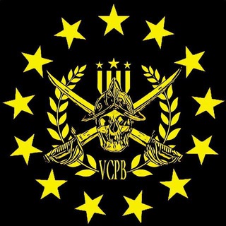 Telegram profile photo for **PUBLIC** - VICE CITY PROUD BOYS (Official Miami Chapter)