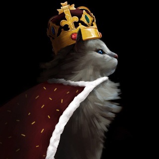 Telegram profile photo for BBQ引流僵尸粉