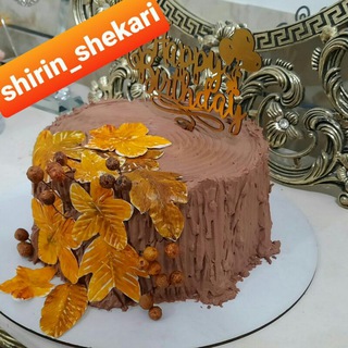 Telegram profile photo for شیرین شکری
