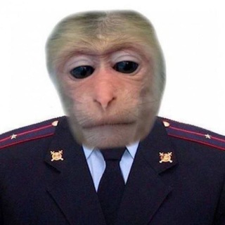 Telegram profile photo for .memes