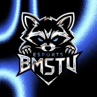 Telegram profile photo for BMSTU Esports