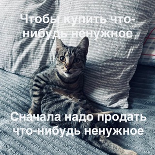 Telegram profile photo for Prodajna kokoška