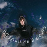 Telegram profile photo for Воздушный Воля ♠
