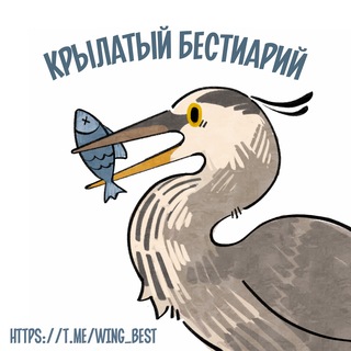 Telegram profile photo for Крылатый бестиарий | помощь домашним и диким птицам