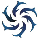 Telegram profile photo for 乐鱼体育官方直招