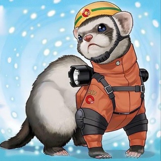 Telegram profile photo for Ferret owners