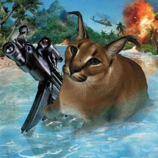 Telegram profile photo for Орyжейнoе, oколовoeнное и другое.