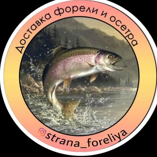 Telegram profile photo for Strana_foreliya