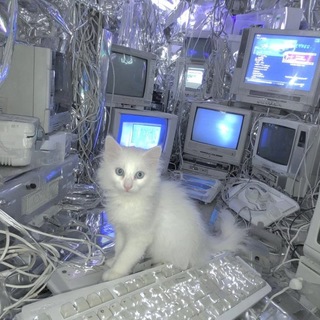 Telegram profile photo for подвальник краша