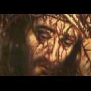 Telegram profile photo for ((ምክረ ቅዱሳን))