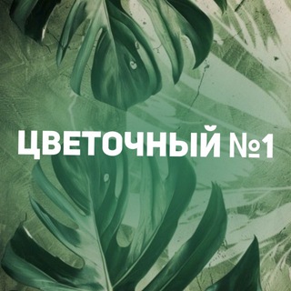 Telegram profile photo for Цветочный №1