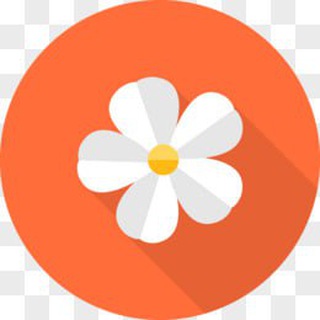 Telegram profile photo for 花花免费全球机器人
