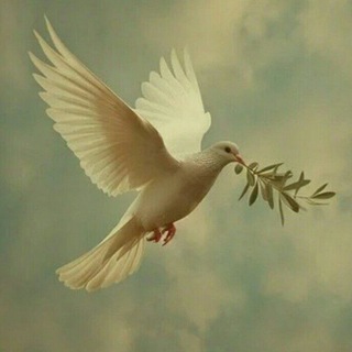 Telegram profile photo for حَواصِلُ طَير 🕊